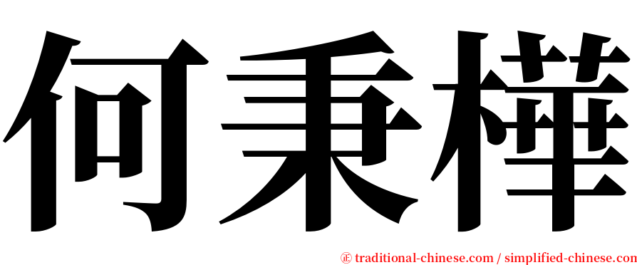 何秉樺 serif font
