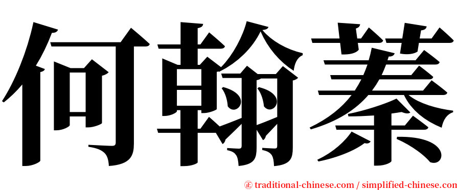 何翰蓁 serif font