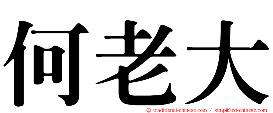 何老大