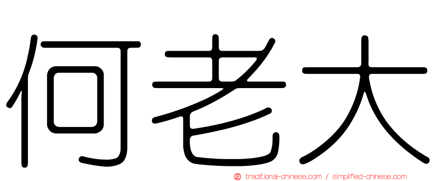 何老大