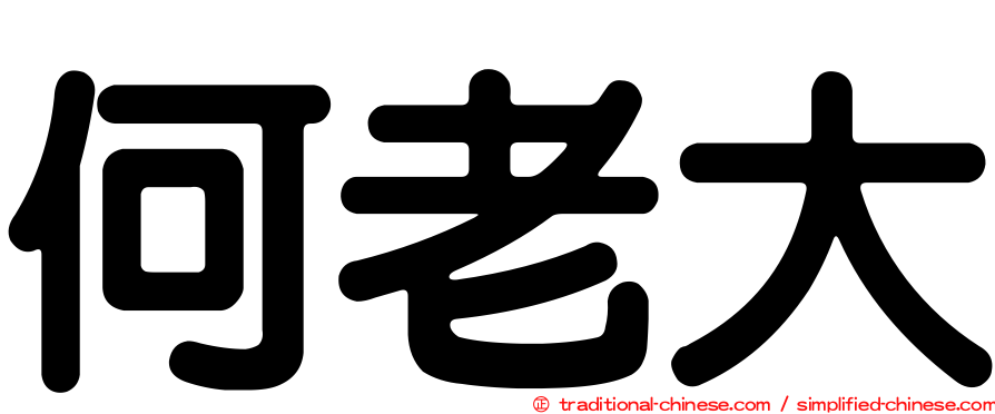 何老大