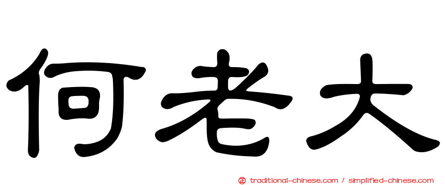 何老大