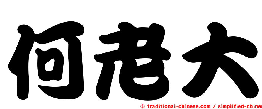 何老大