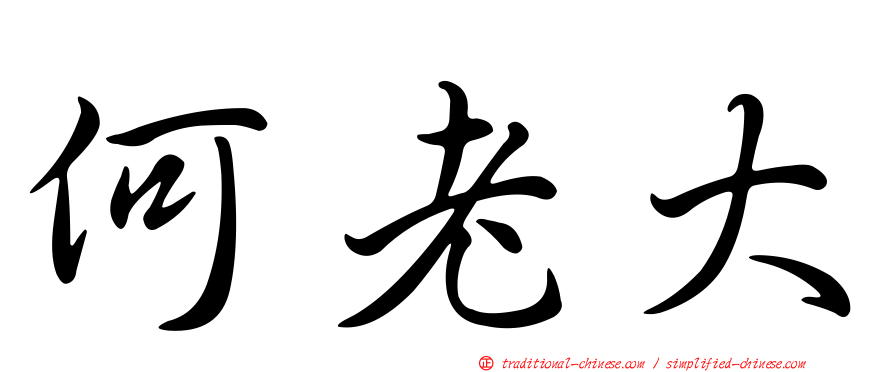 何老大