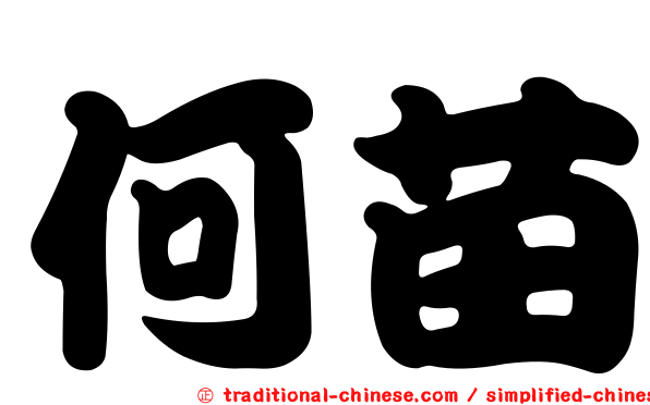何苗