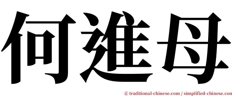 何進母 serif font