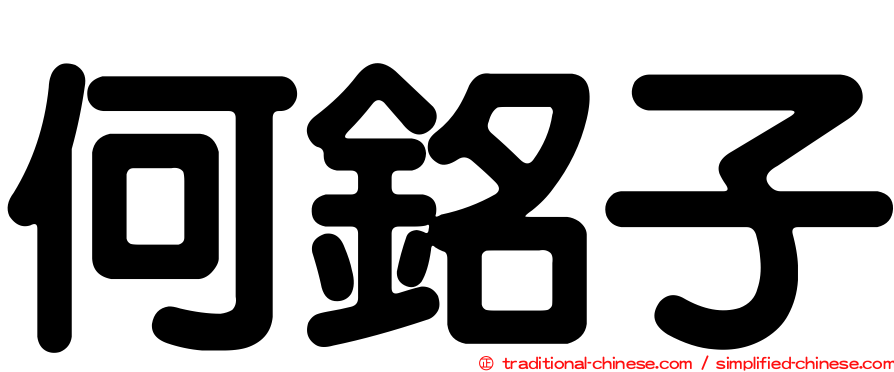 何銘子
