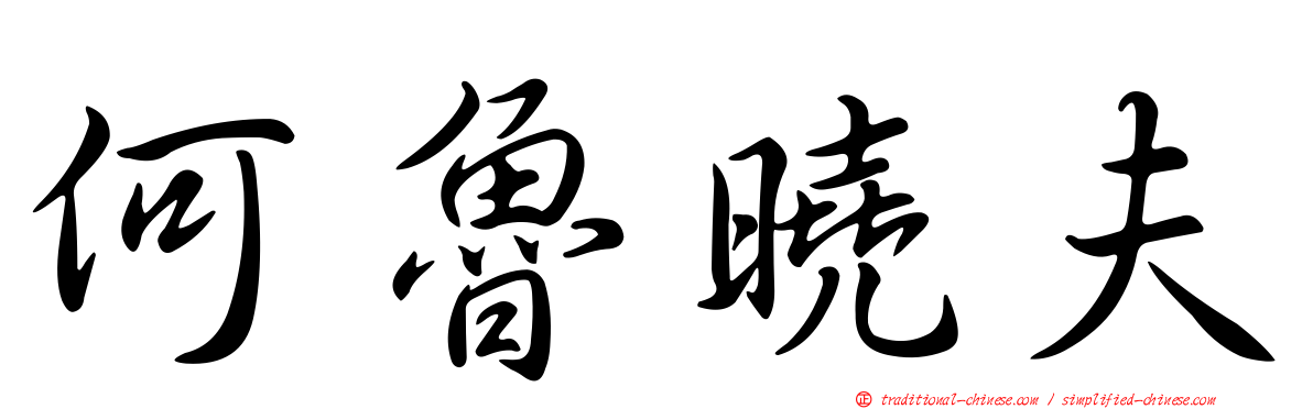 何魯曉夫