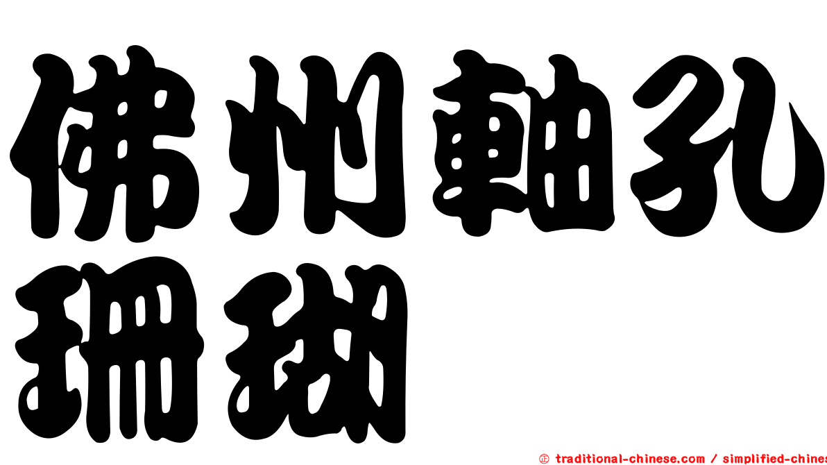 佛州軸孔珊瑚