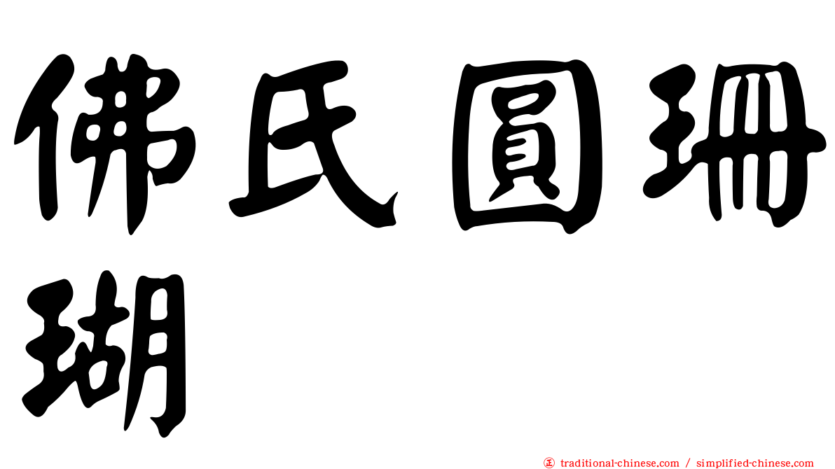 佛氏圓珊瑚