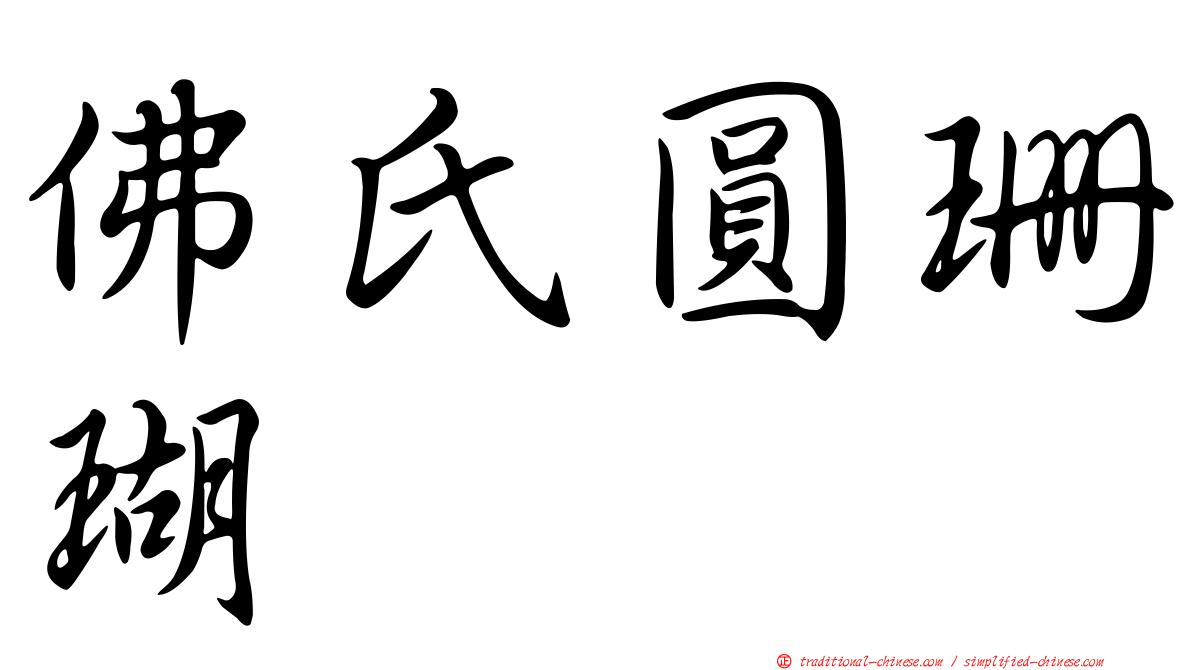 佛氏圓珊瑚