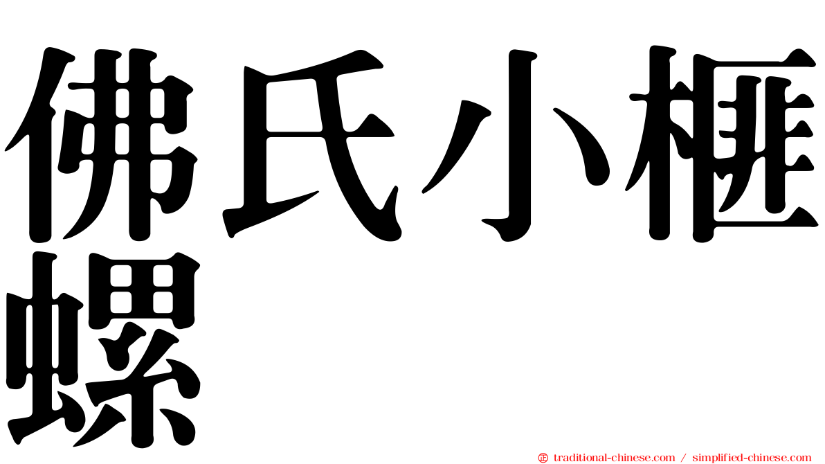 佛氏小榧螺
