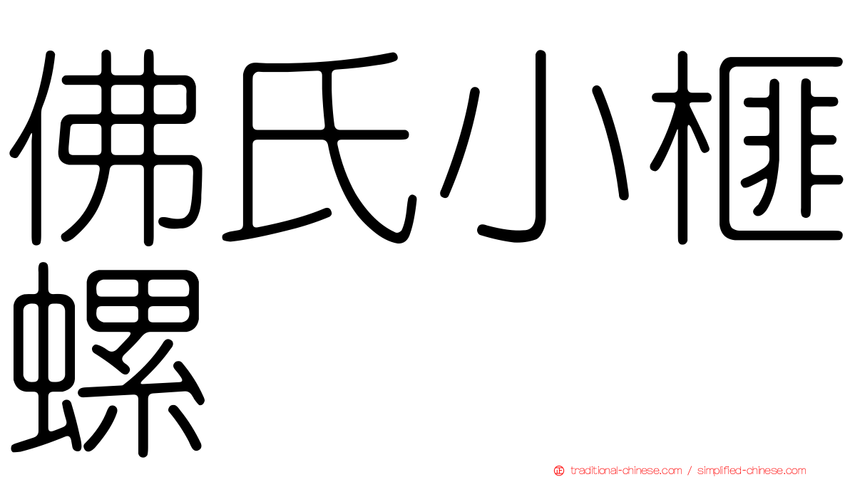 佛氏小榧螺