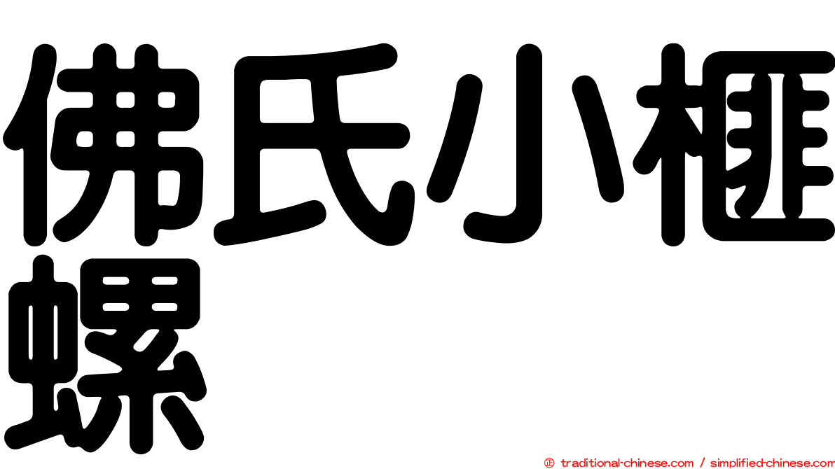 佛氏小榧螺