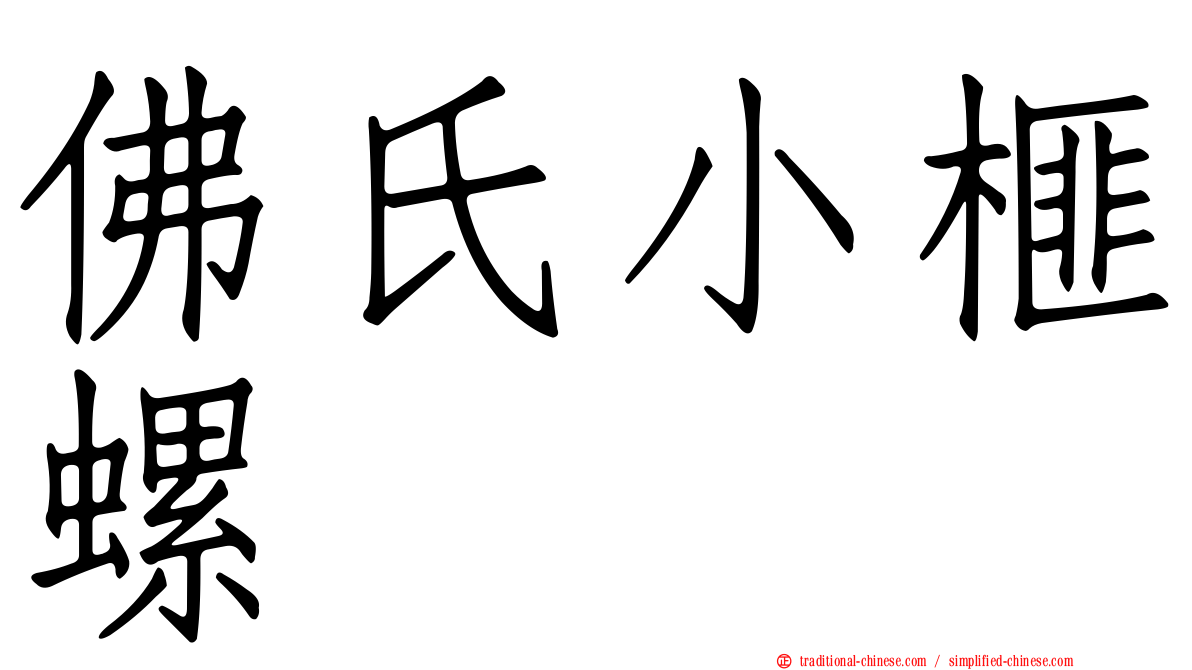 佛氏小榧螺