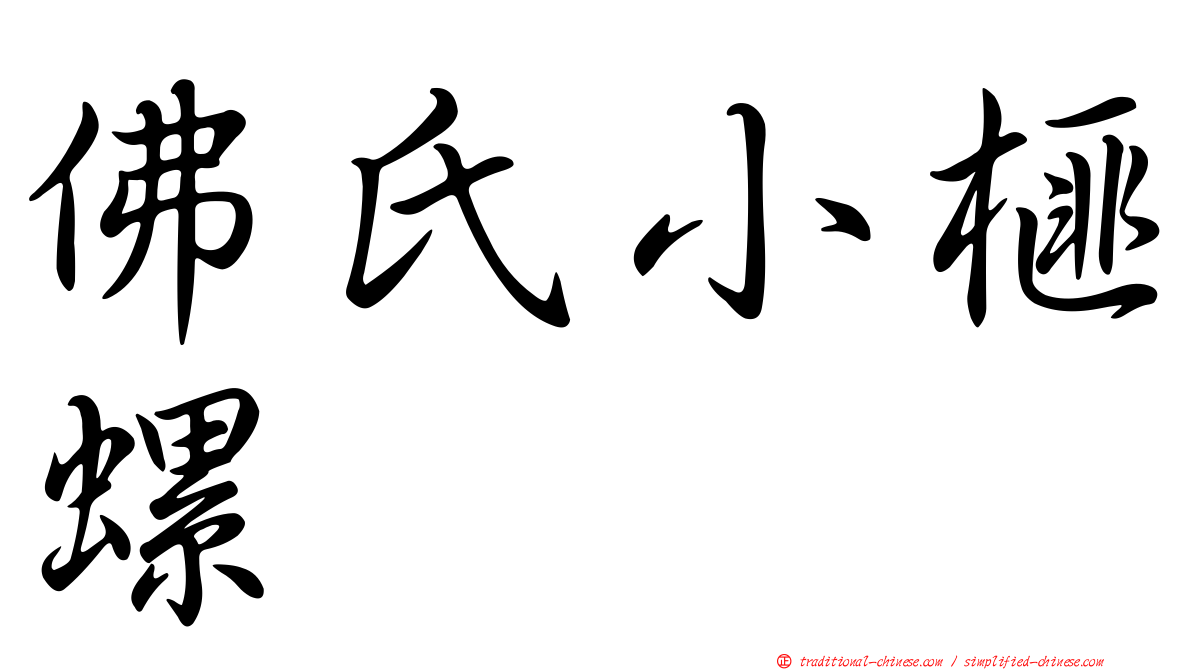佛氏小榧螺