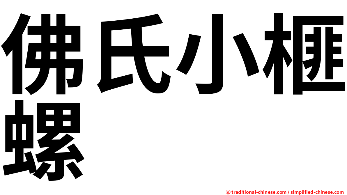 佛氏小榧螺