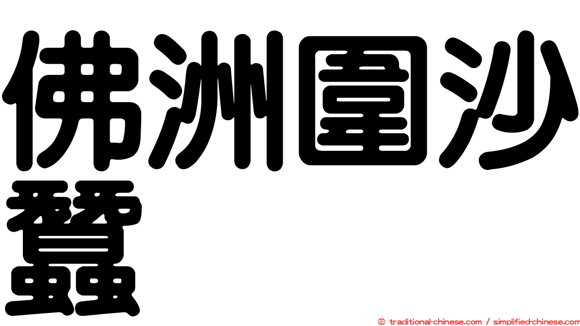 佛洲圍沙蠶