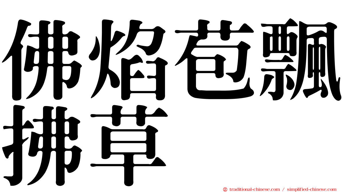 佛焰苞飄拂草