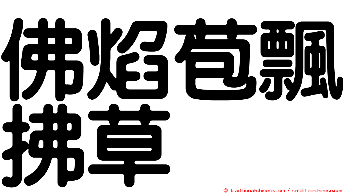 佛焰苞飄拂草