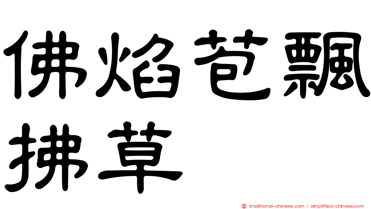 佛焰苞飄拂草
