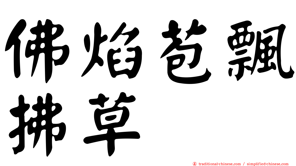 佛焰苞飄拂草