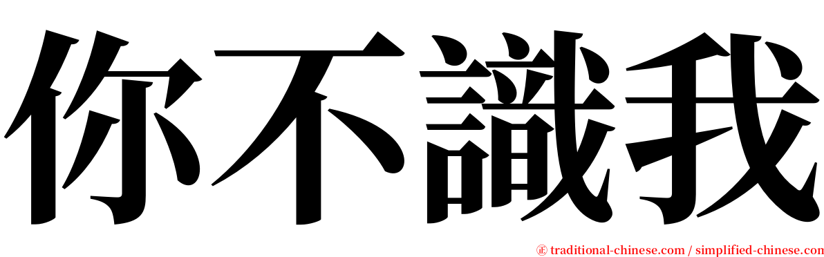 你不識我 serif font