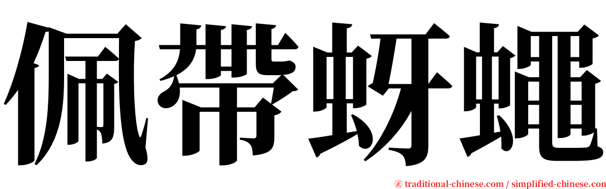 佩帶蚜蠅 serif font
