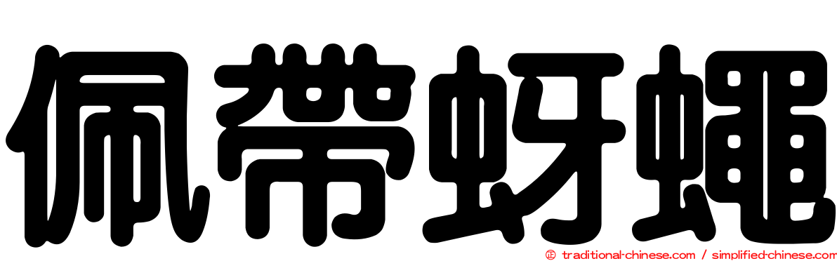 佩帶蚜蠅