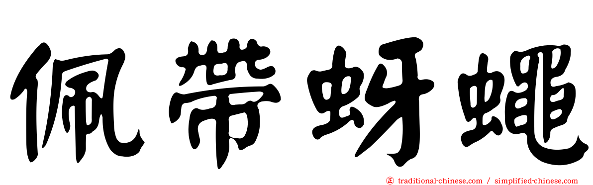 佩帶蚜蠅