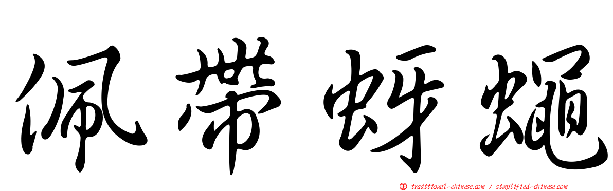 佩帶蚜蠅