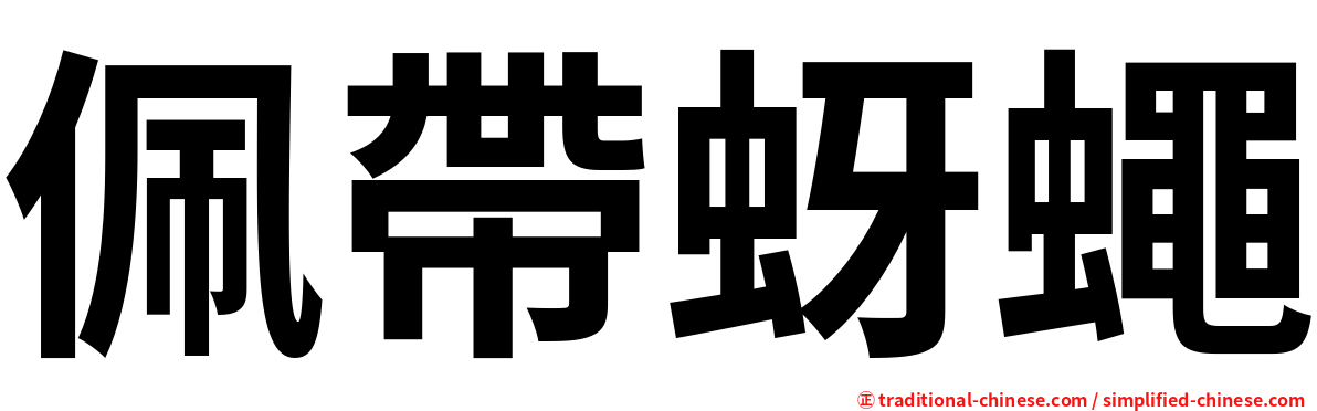 佩帶蚜蠅