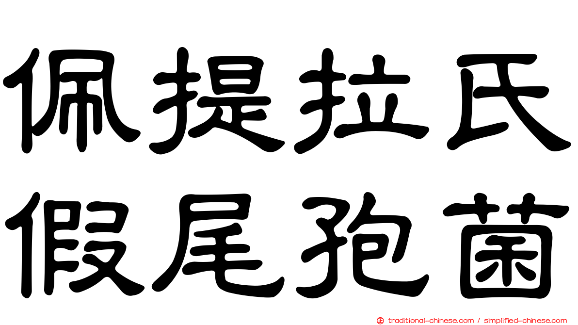 佩提拉氏假尾孢菌