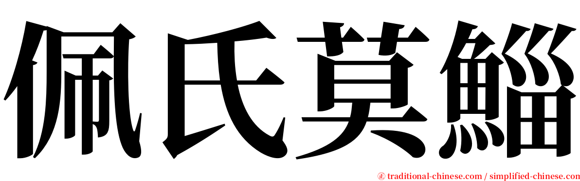 佩氏莫鯔 serif font