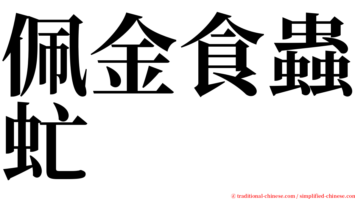 佩金食蟲虻 serif font