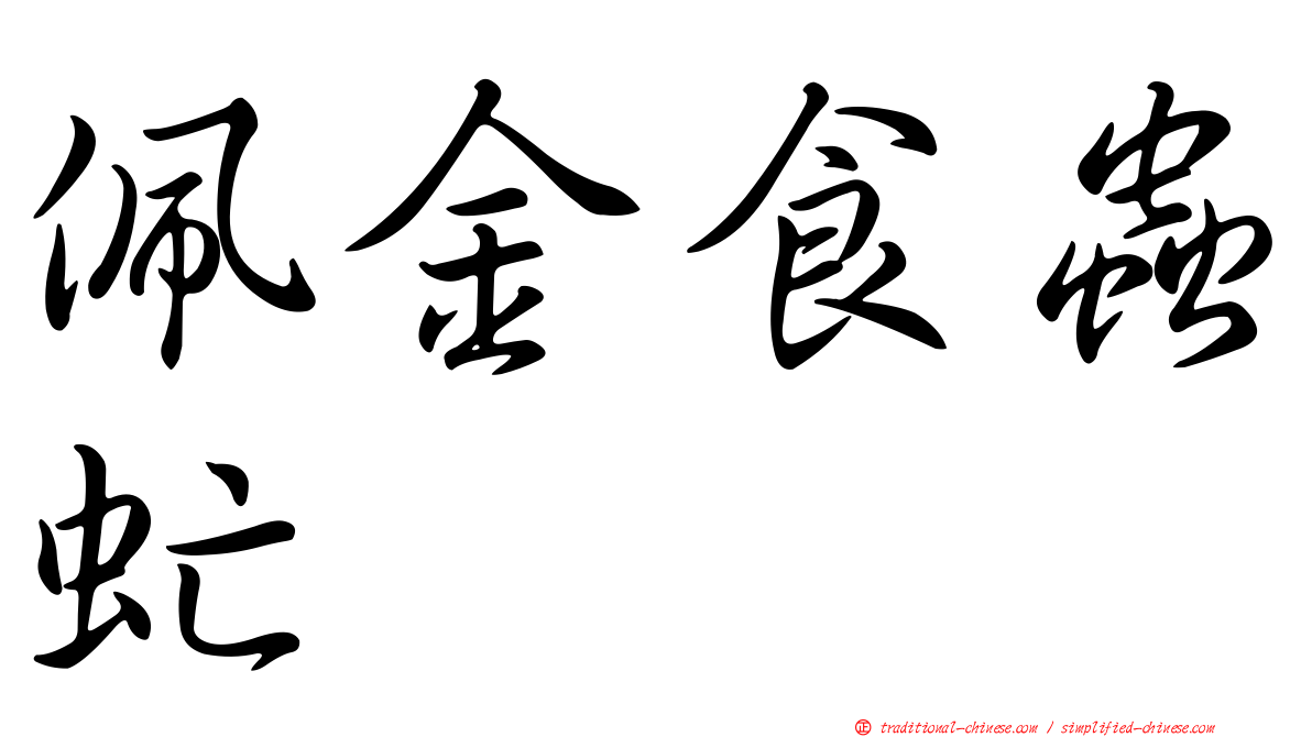 佩金食蟲虻