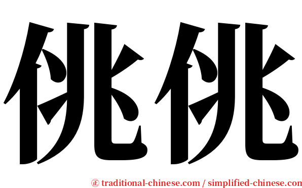 佻佻 serif font