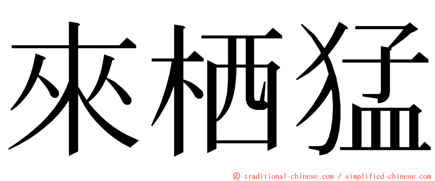 來栖猛 ming font