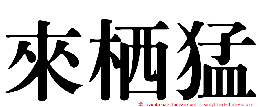 來栖猛