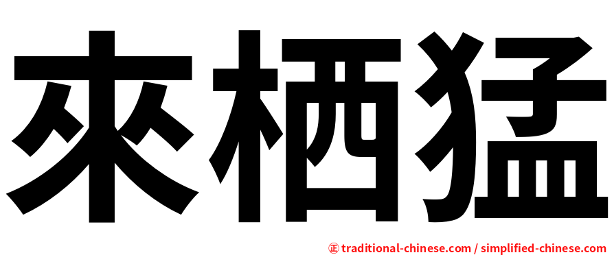來栖猛