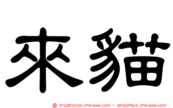 來貓
