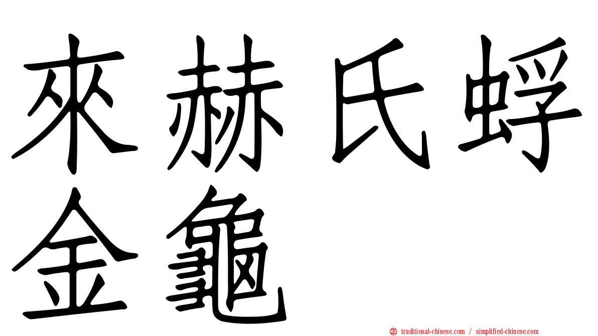 來赫氏蜉金龜