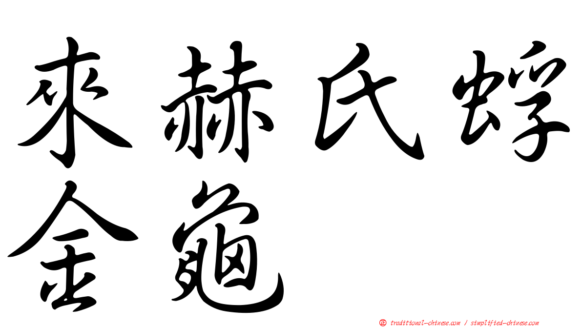 來赫氏蜉金龜