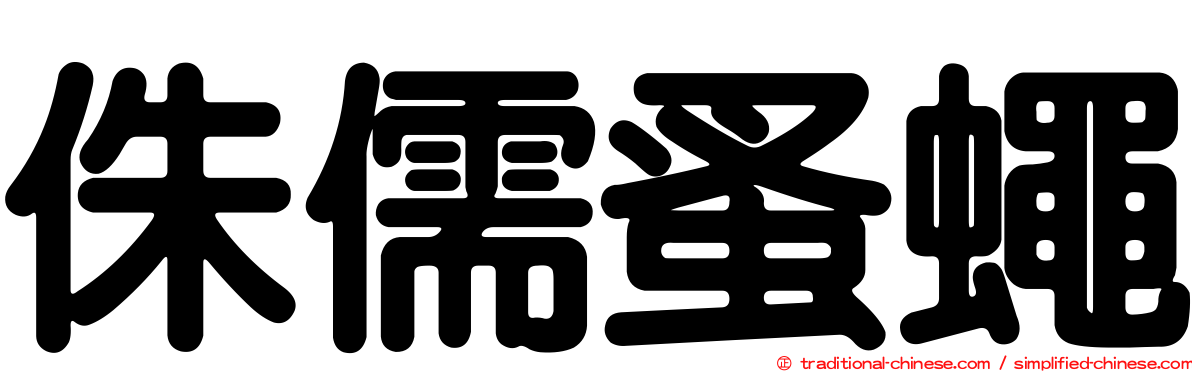 侏儒蚤蠅