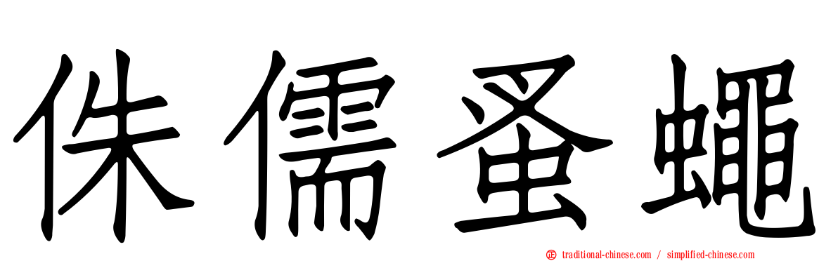侏儒蚤蠅
