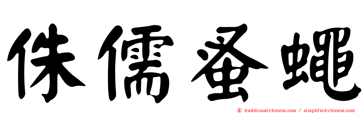 侏儒蚤蠅