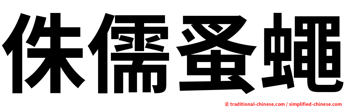 侏儒蚤蠅
