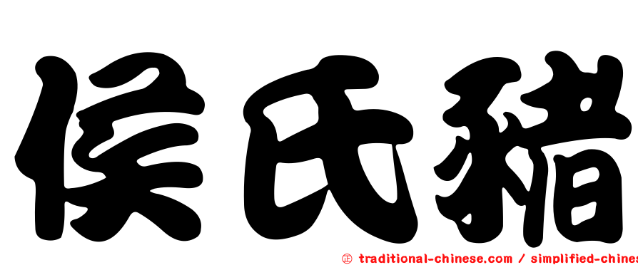 侯氏豬