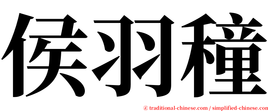 侯羽穜 serif font