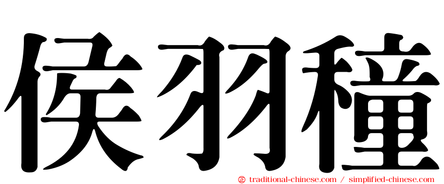 侯羽穜